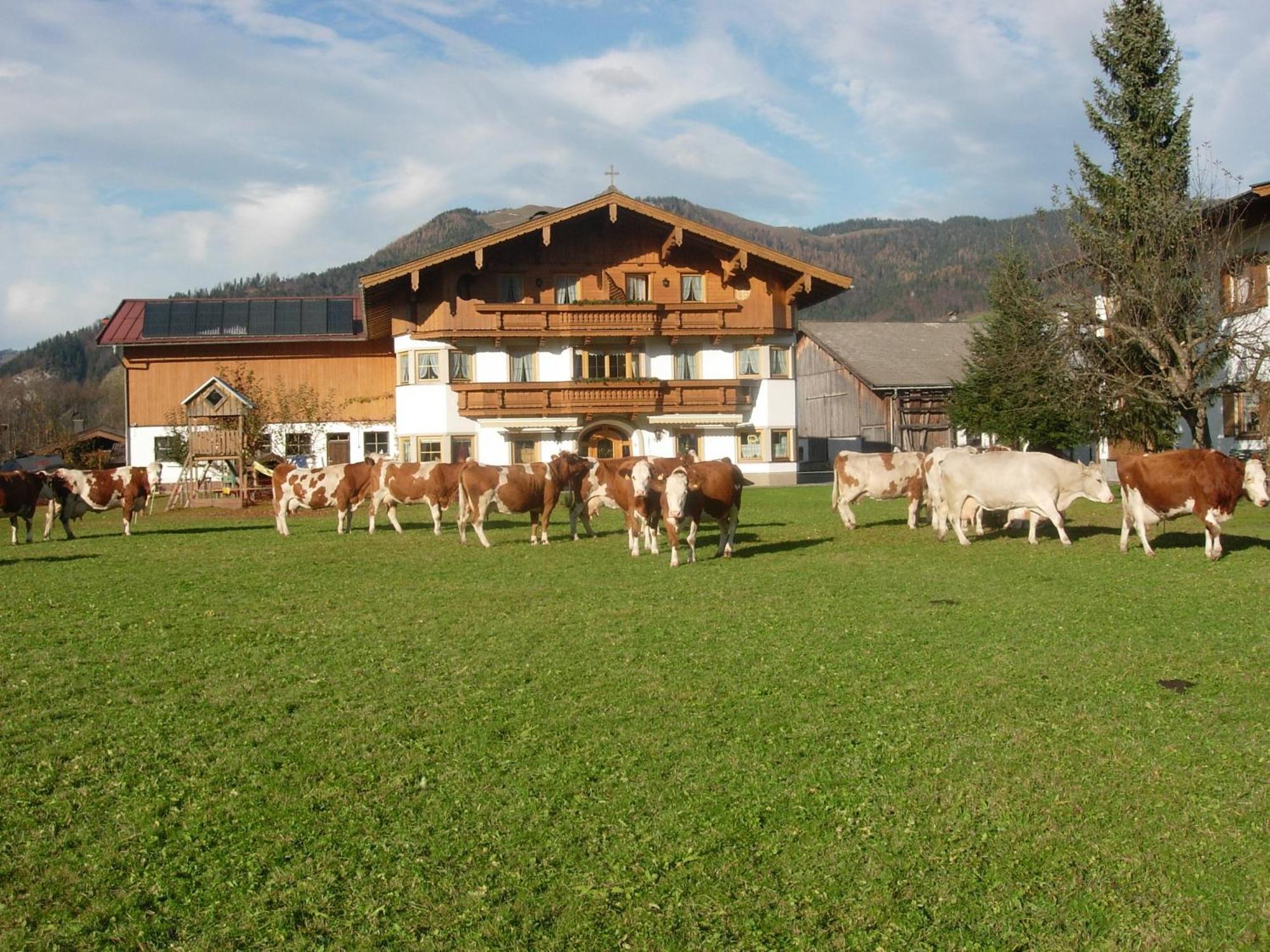 Vila Huettschmiedhof Kössen Pokoj fotografie